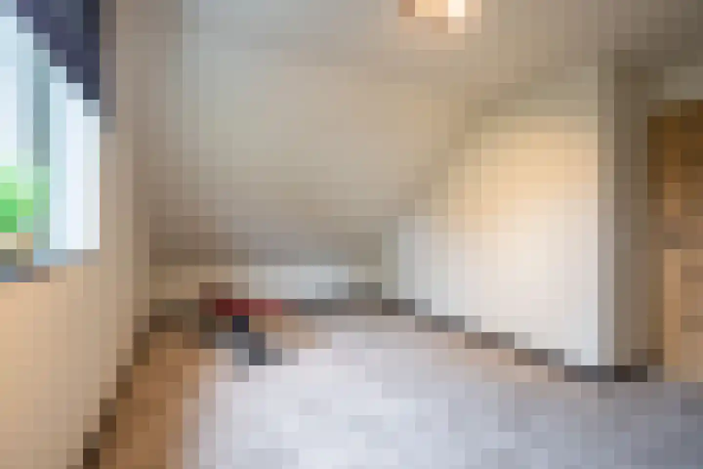 De Briasweg 3 Baexem thumbnail 33