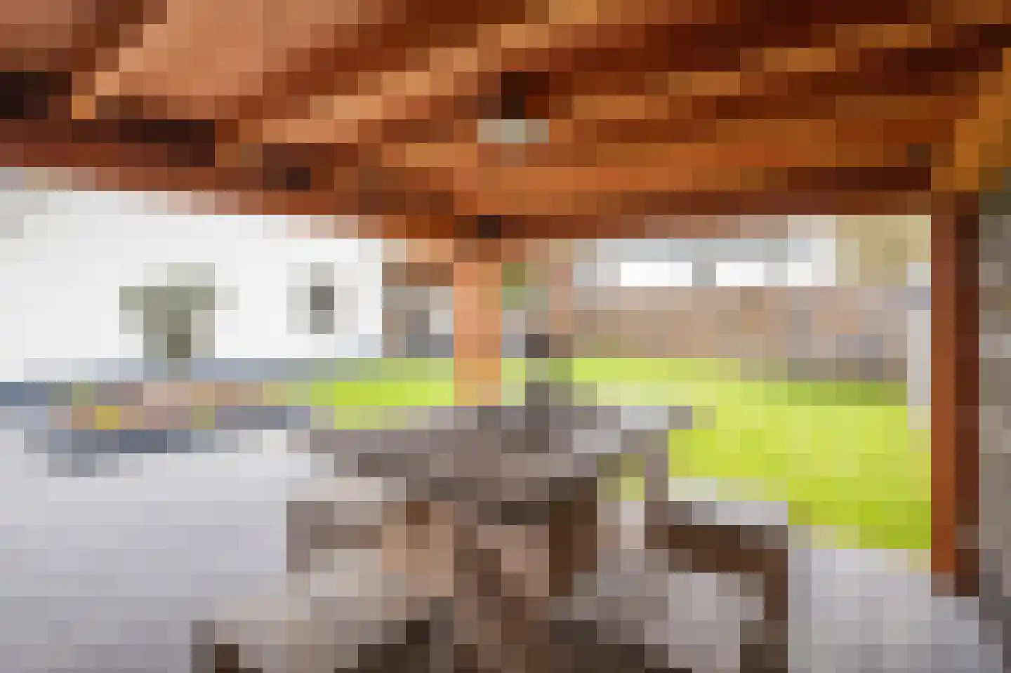 De Briasweg 3 Baexem thumbnail 39