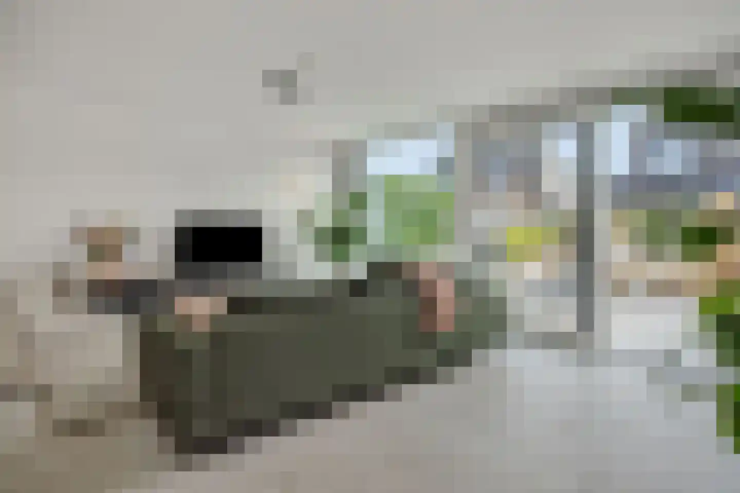 De Brigantijn 14 Rosmalen thumbnail 10