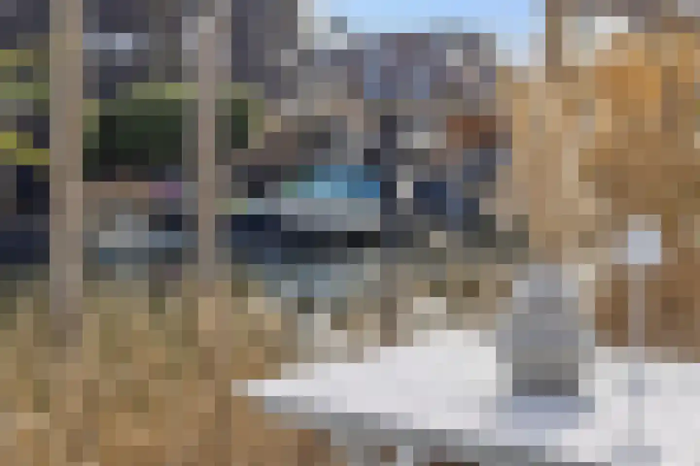 De Brigantijn 14 Rosmalen thumbnail 15