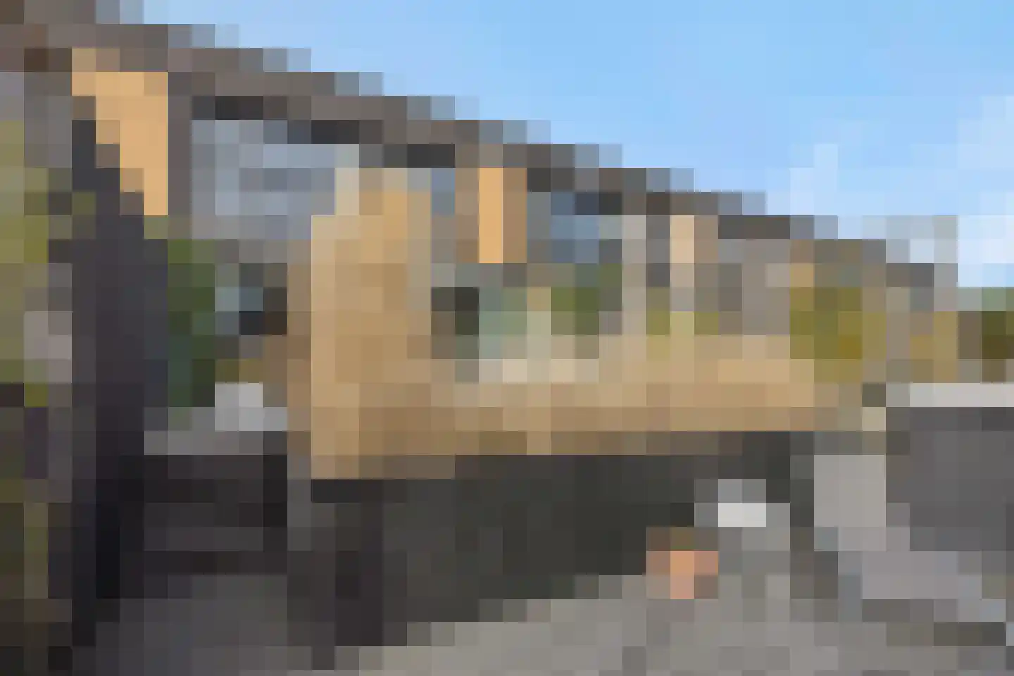 De Brigantijn 14 Rosmalen thumbnail 38