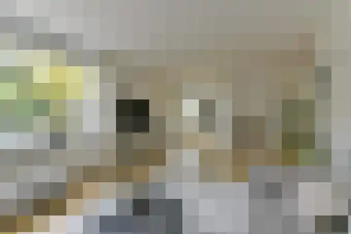 De Brik 11 Soesterberg thumbnail 13