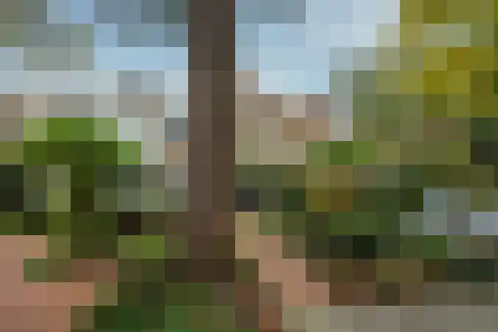 De Brik 11 Soesterberg thumbnail 30