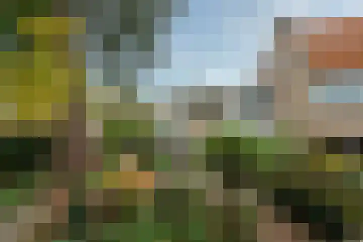 De Brik 11 Soesterberg thumbnail 31