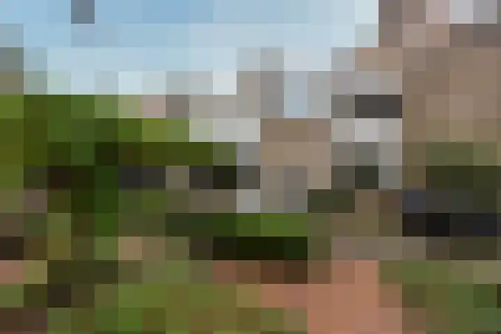 De Brik 11 Soesterberg thumbnail 33