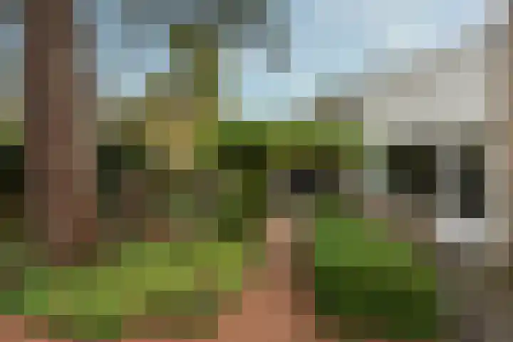De Brik 11 Soesterberg thumbnail 34