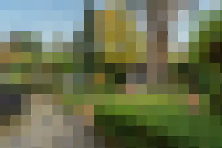 De Brik 11 Soesterberg thumbnail 5