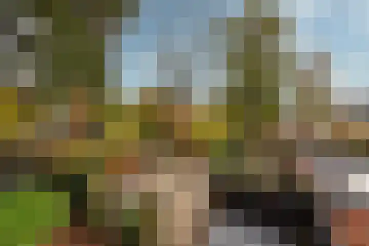 De Brik 11 Soesterberg thumbnail 50