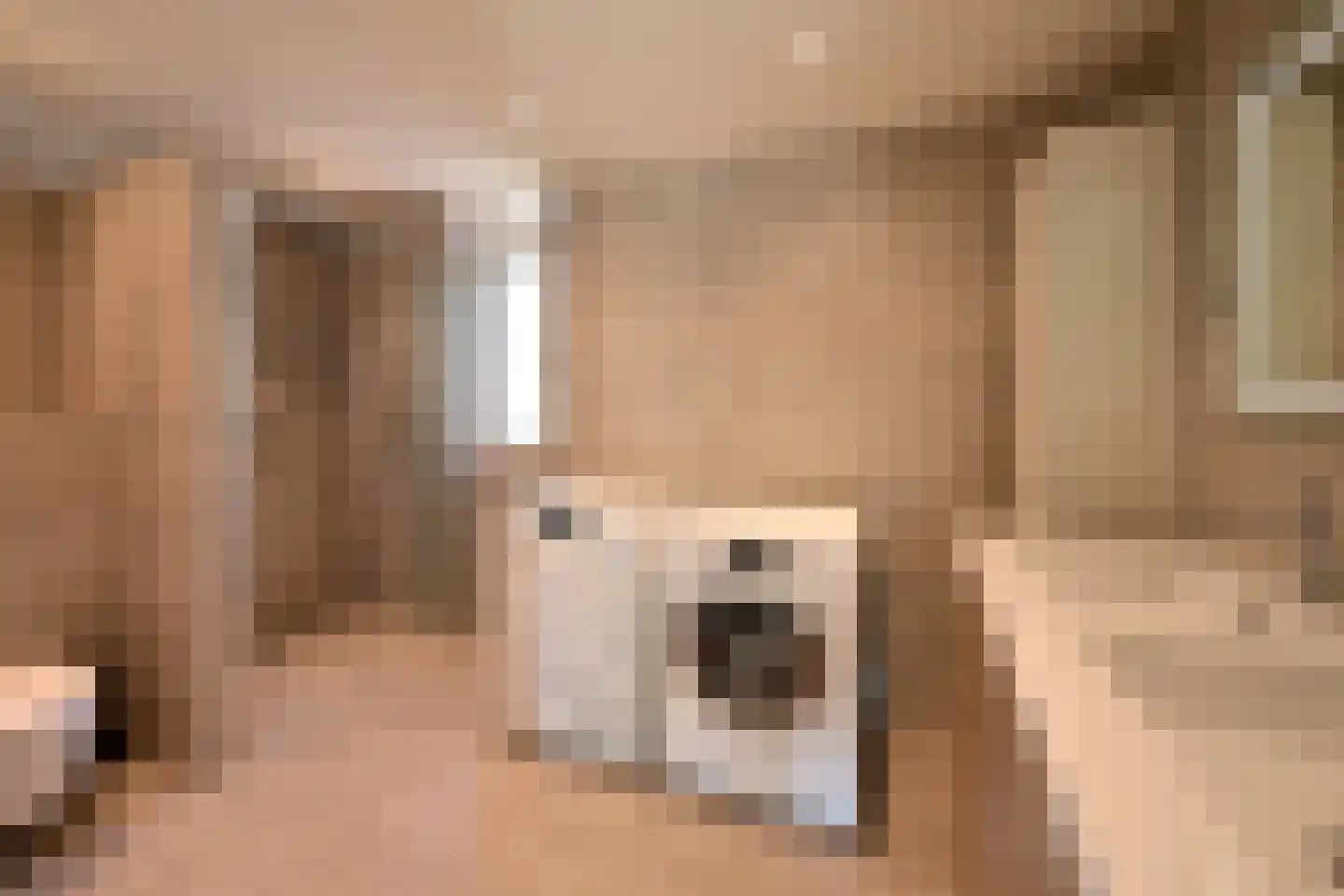 de Brik 13 Baarn thumbnail 15
