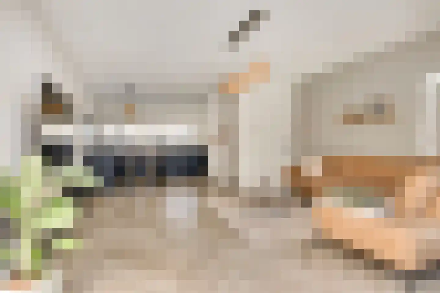 De Brik 18 Rosmalen thumbnail 17