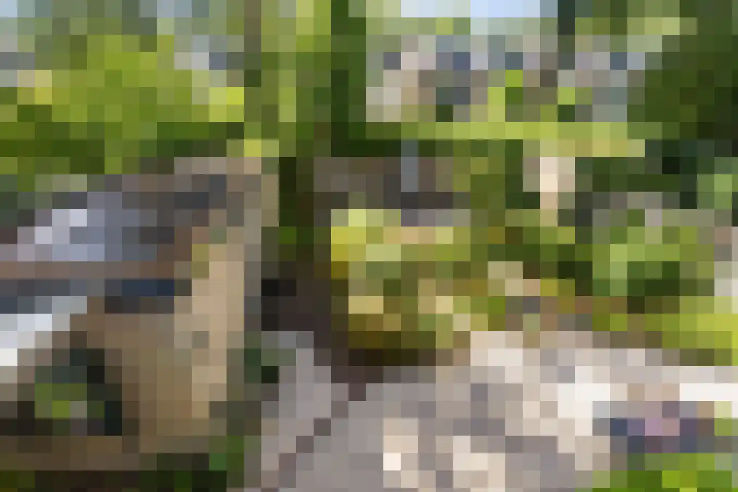 De Brik 26 Soesterberg thumbnail 23