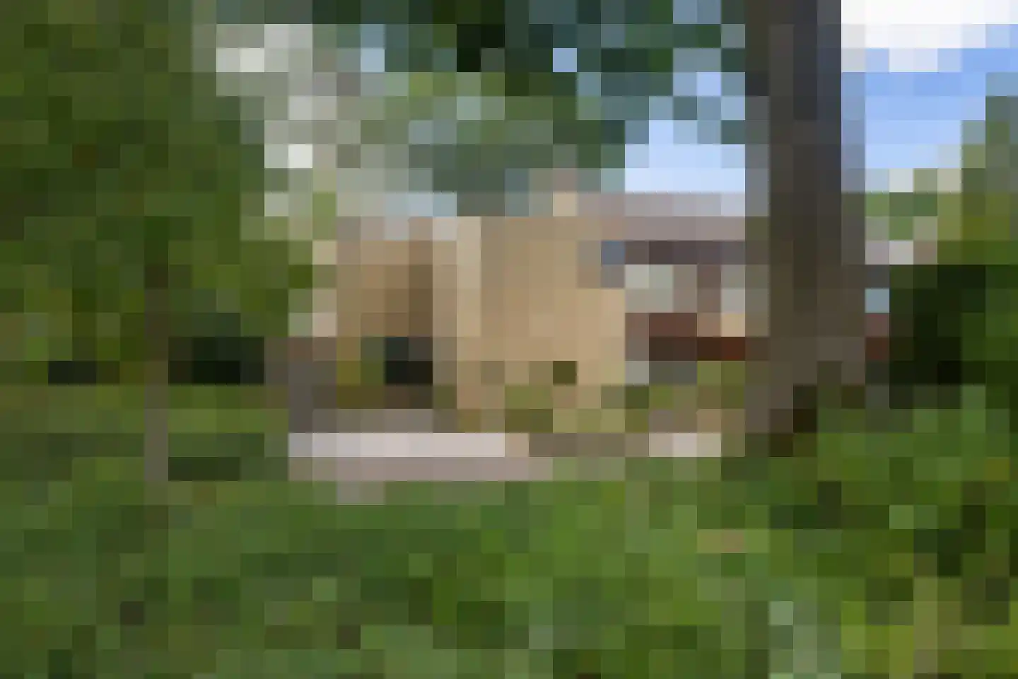 De Brik 26 Soesterberg thumbnail 42