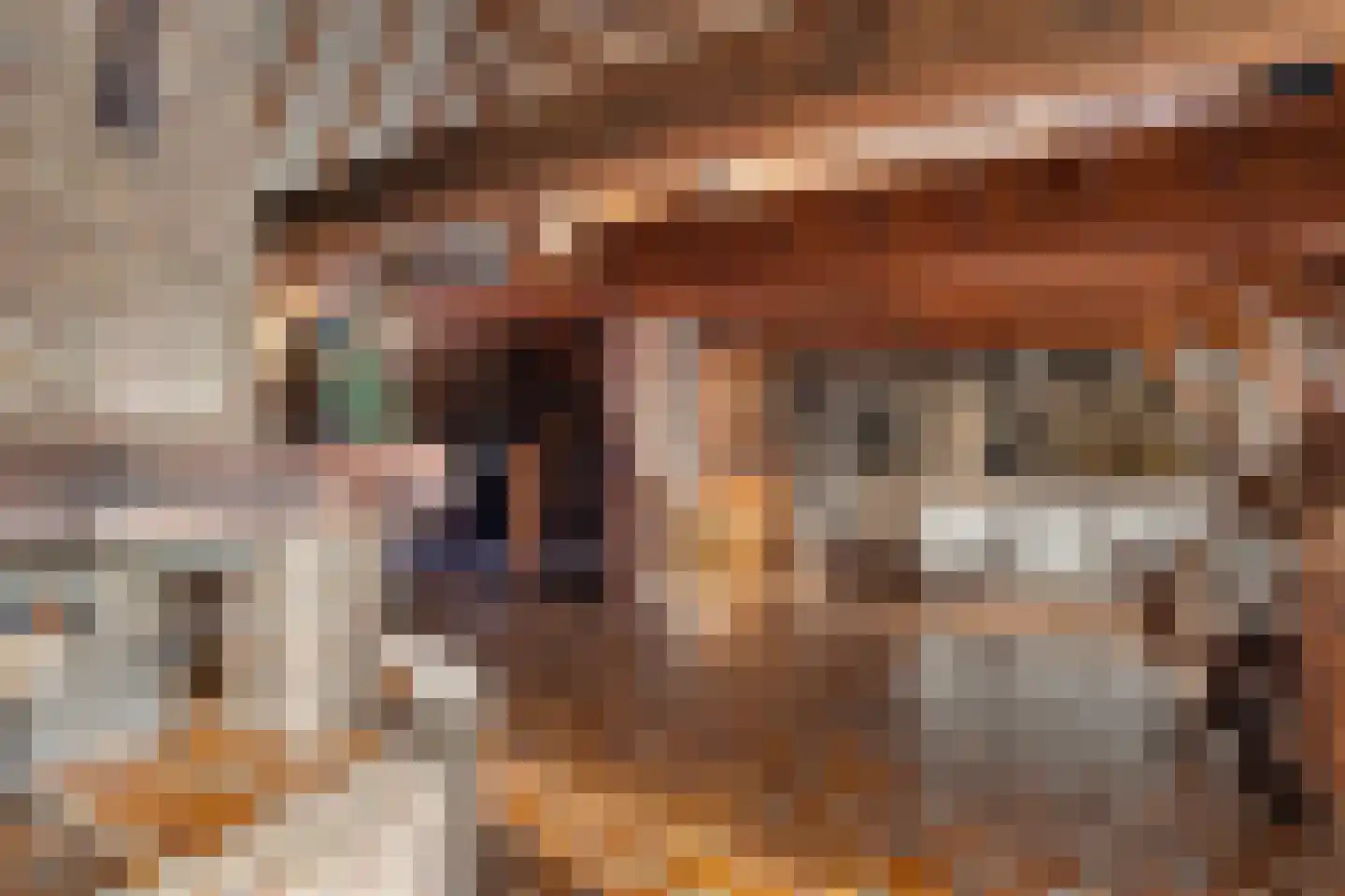 De Brink 10 Drijber thumbnail 12