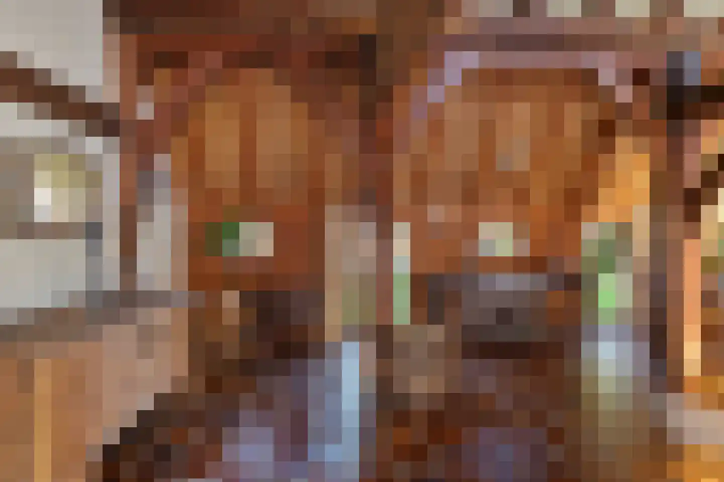 De Brink 10 Drijber thumbnail 19