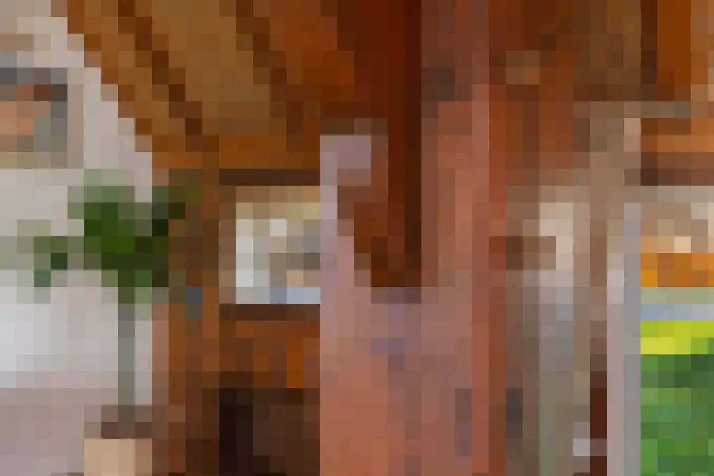 De Brink 10 Drijber thumbnail 20