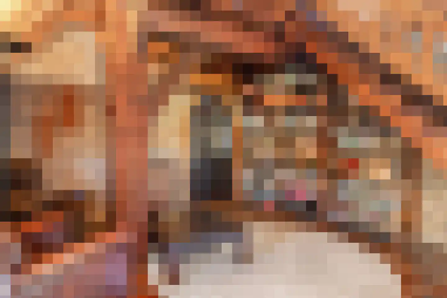 De Brink 10 Drijber thumbnail 21