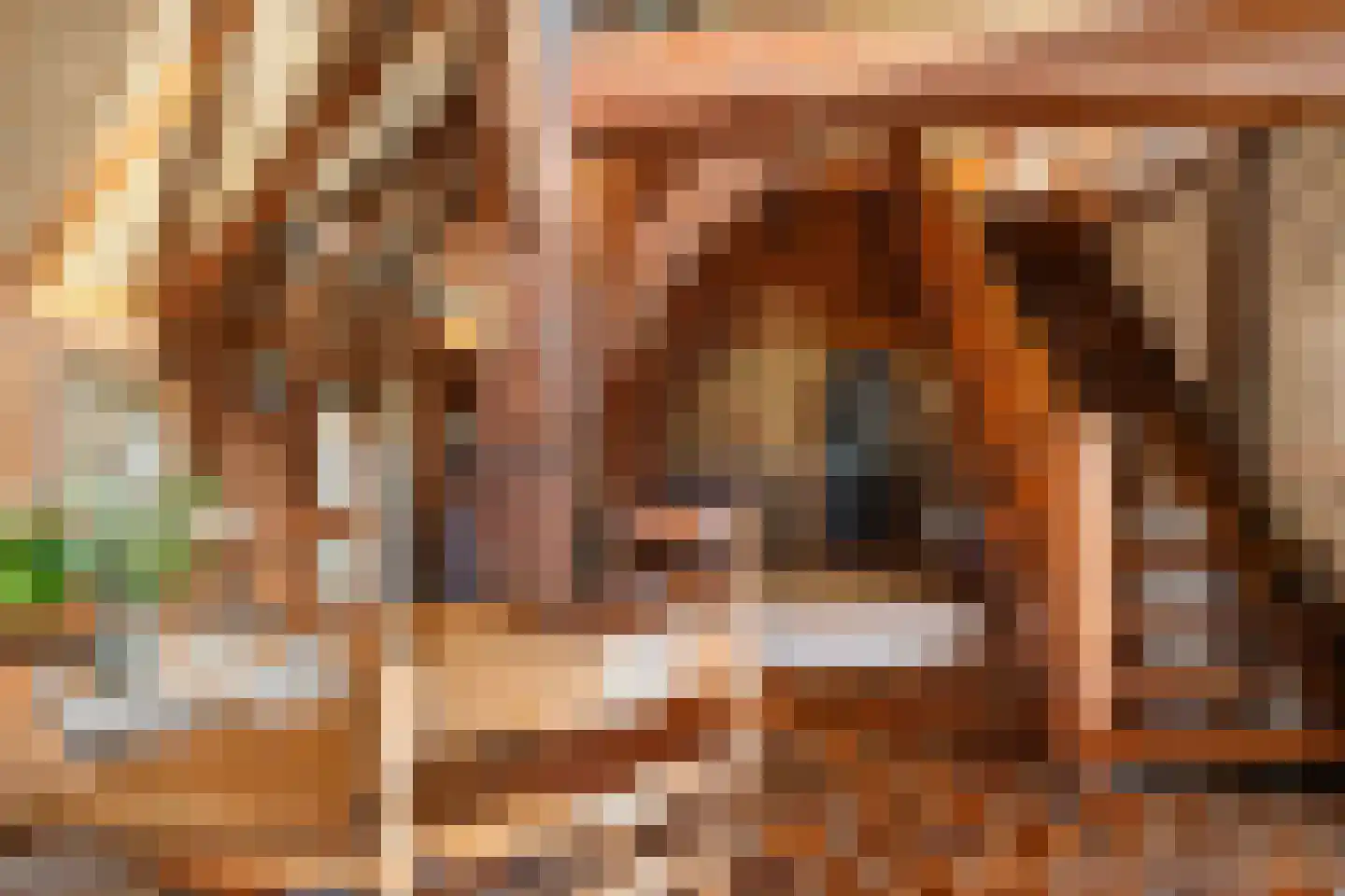 De Brink 10 Drijber thumbnail 24