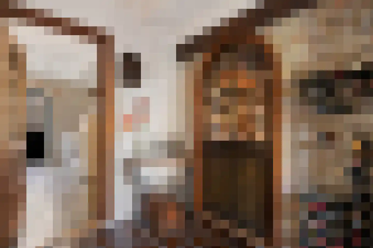 De Brink 10 Drijber thumbnail 39
