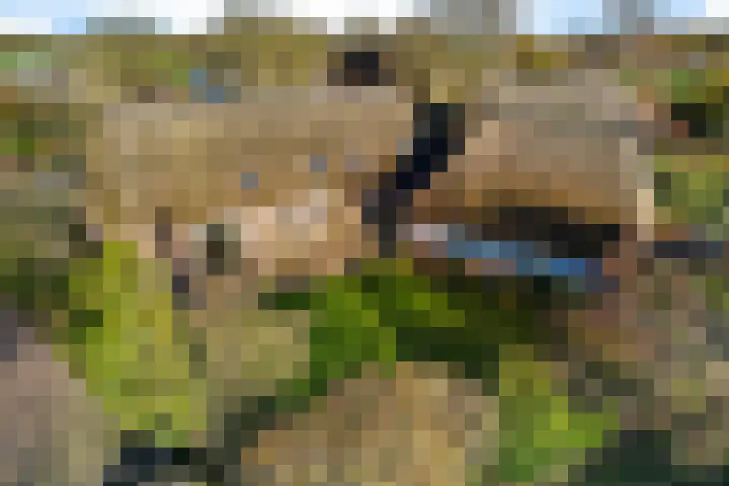 De Brink 10 Drijber thumbnail 4