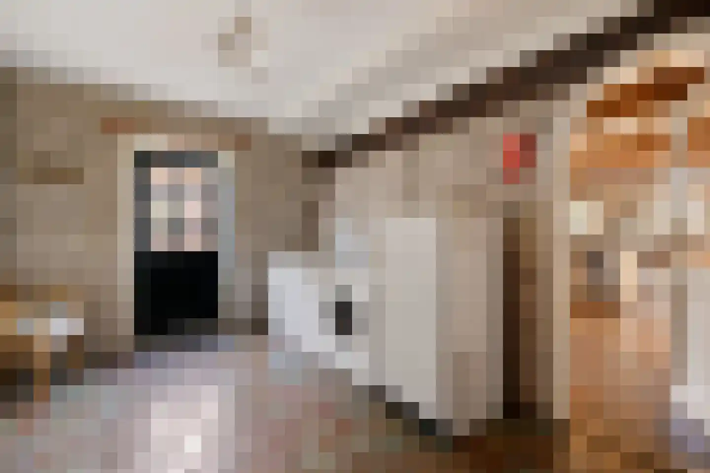 De Brink 10 Drijber thumbnail 41