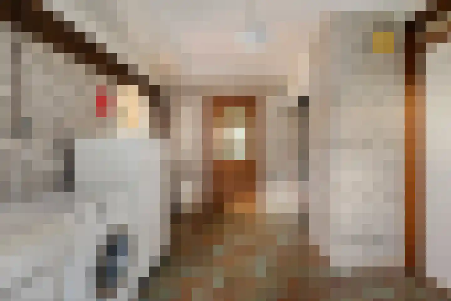 De Brink 10 Drijber thumbnail 42