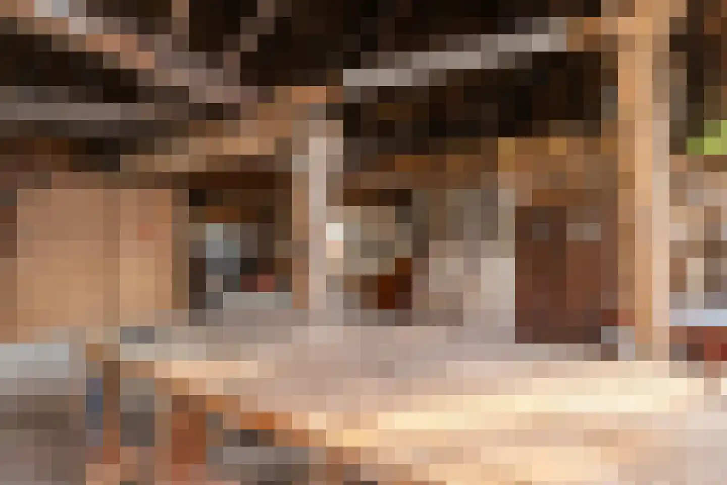 De Brink 10 Drijber thumbnail 46