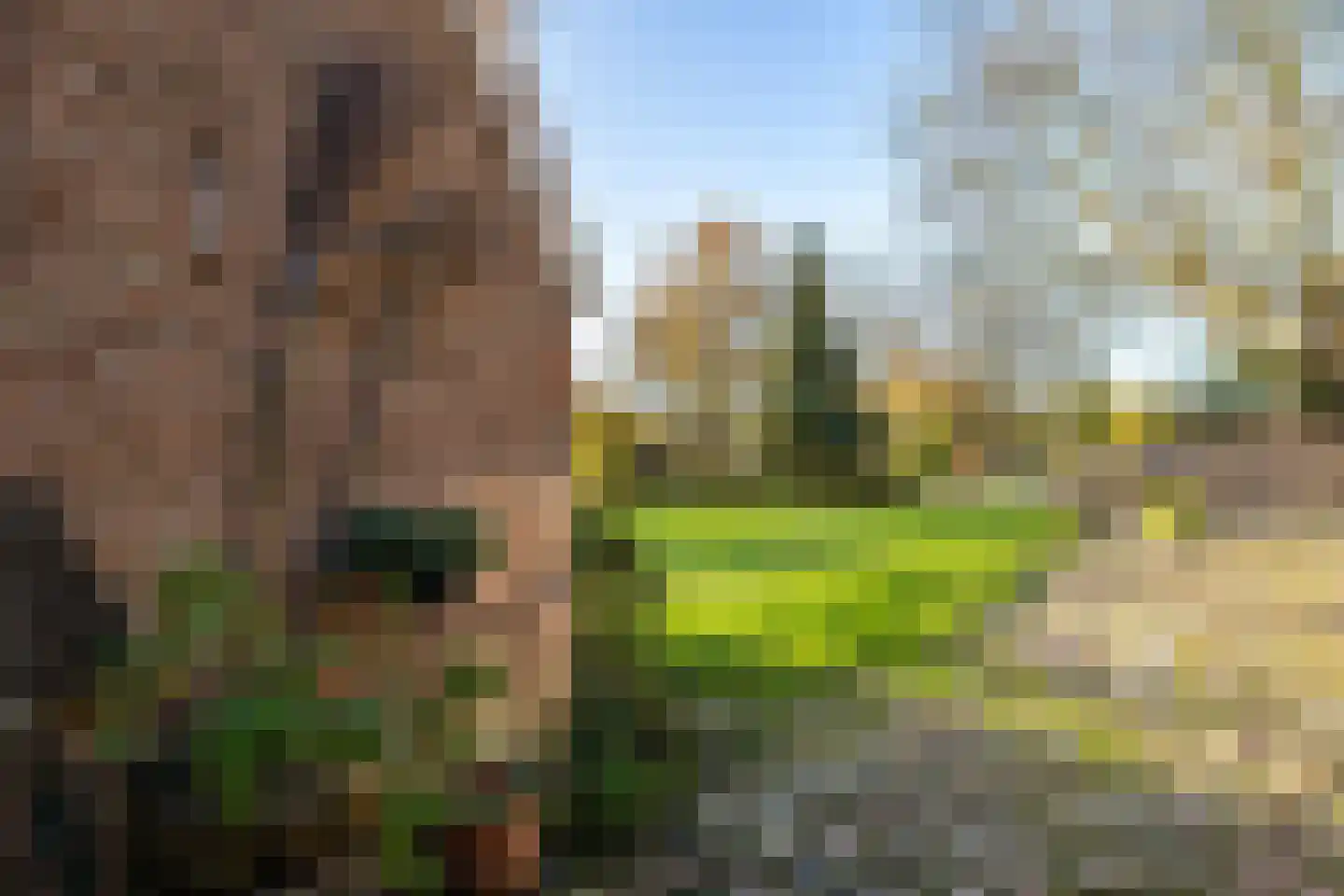 De Brink 10 Drijber thumbnail 52