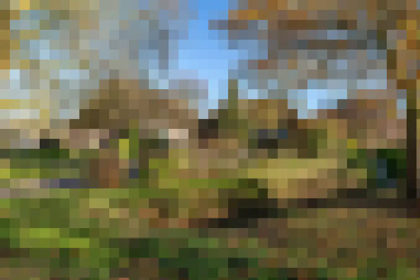 De Brink 10 Drijber thumbnail 56