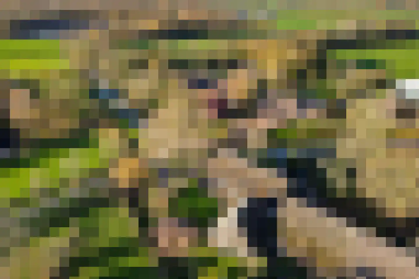 De Brink 10 Drijber thumbnail 60