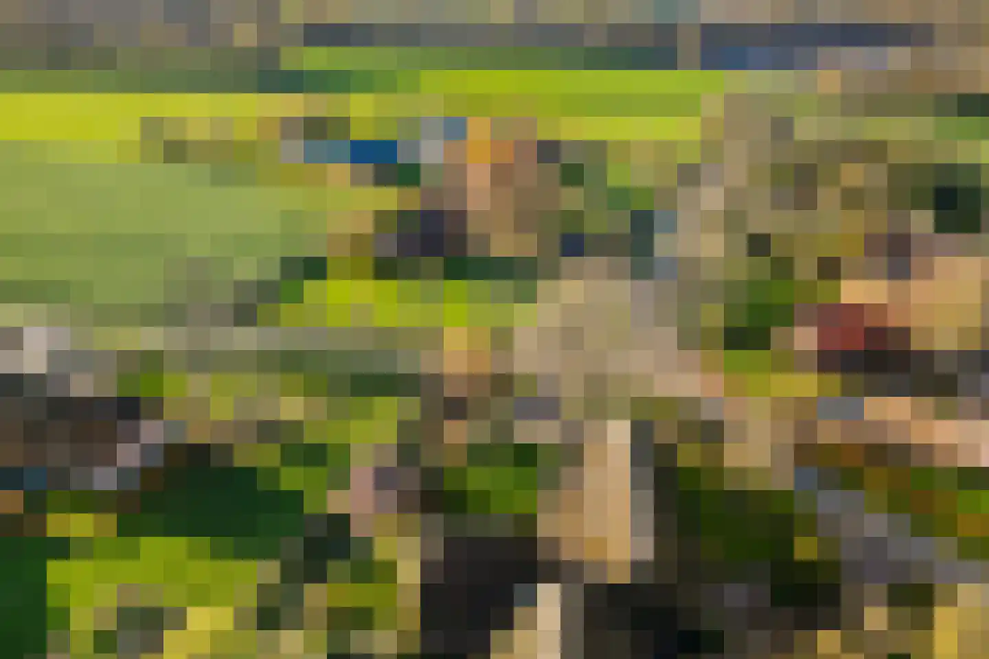 De Brink 10 Drijber thumbnail 61