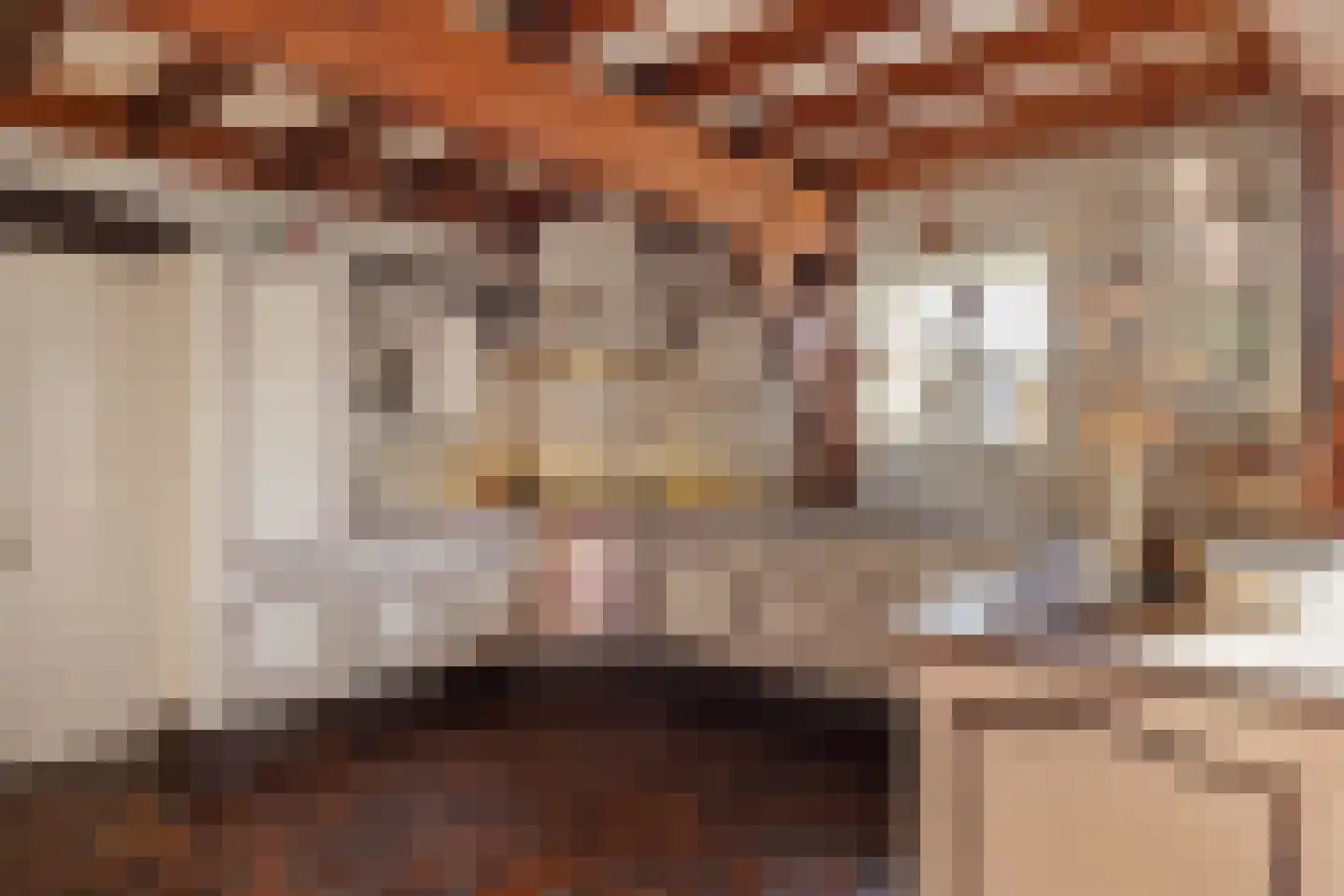 De Brink 10 Drijber thumbnail 9