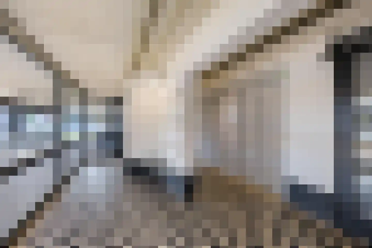 De Brink 100 Groningen thumbnail 8