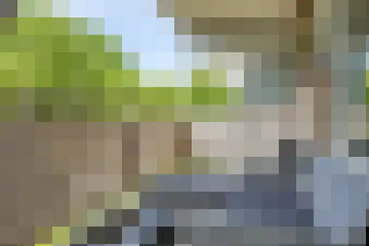 De Brink 1078 Den Haag thumbnail 15