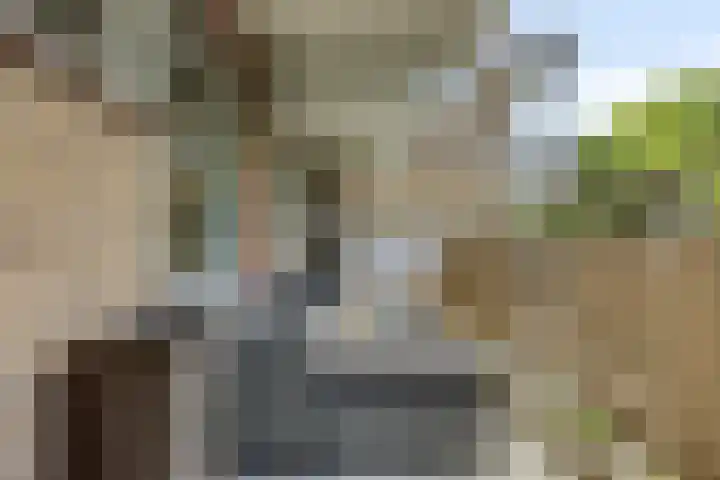 De Brink 1078 Den Haag thumbnail 16