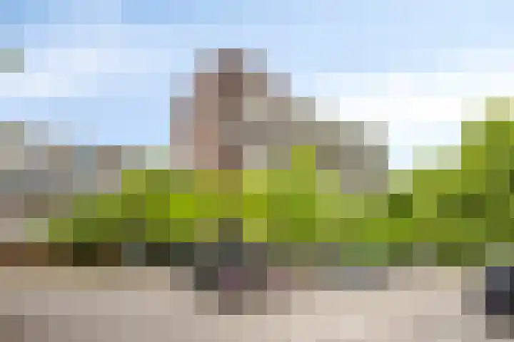 De Brink 1078 Den Haag thumbnail 25