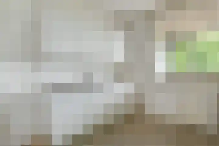 De Brink 1092 Den Haag thumbnail 15