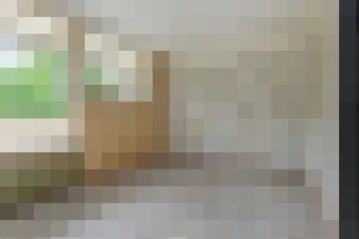 De Brink 1092 Den Haag thumbnail 17