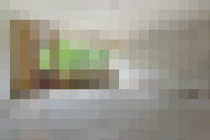 De Brink 1092 Den Haag thumbnail 9