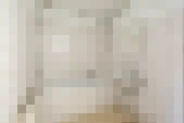 De Brink 110 Groningen thumbnail 16