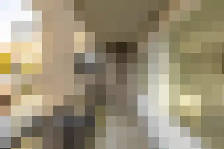 De Brink 110 Groningen thumbnail 28