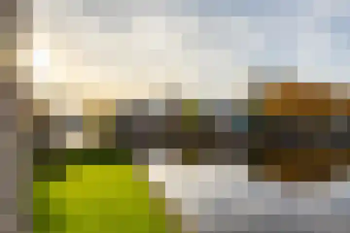 De Brink 110 Groningen thumbnail 30