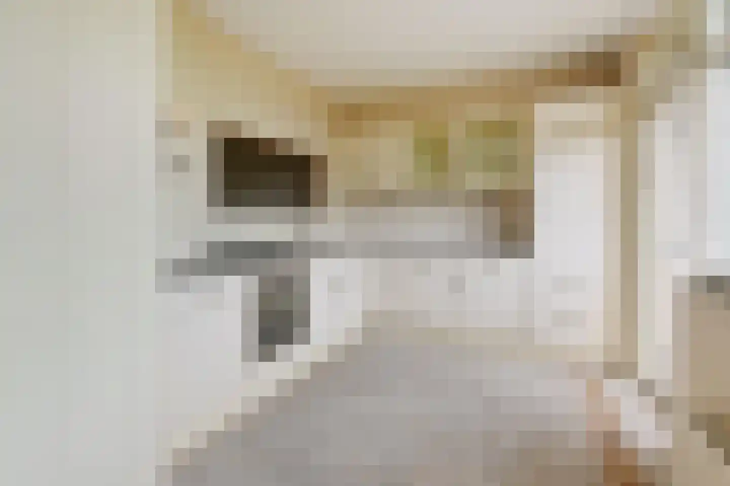 De Brink 1100 Den Haag thumbnail 13