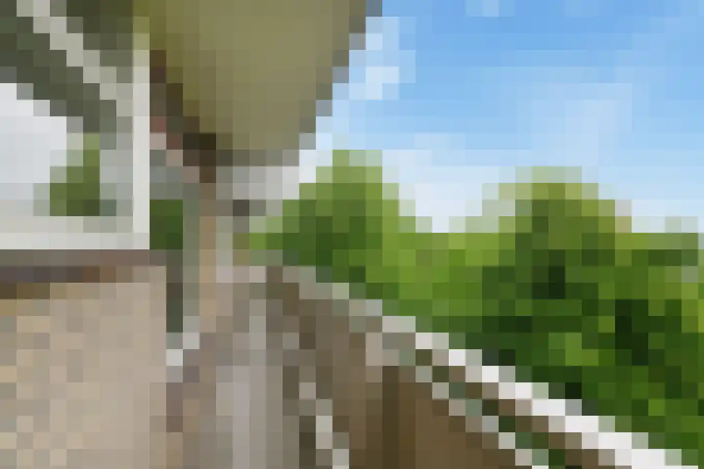 De Brink 1100 Den Haag thumbnail 18