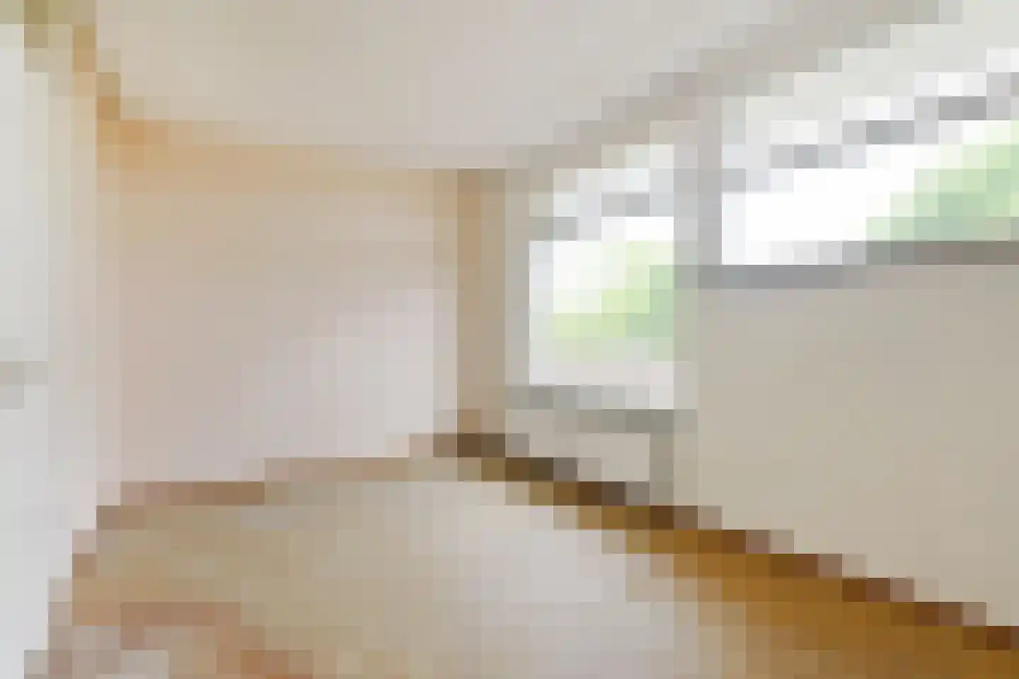 De Brink 1100 Den Haag thumbnail 39