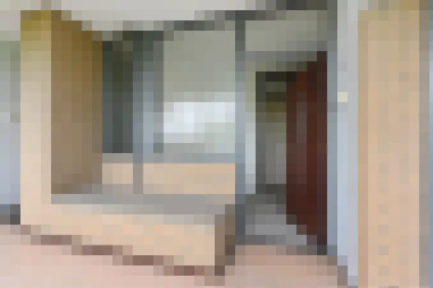 De Brink 1100 Den Haag thumbnail 7
