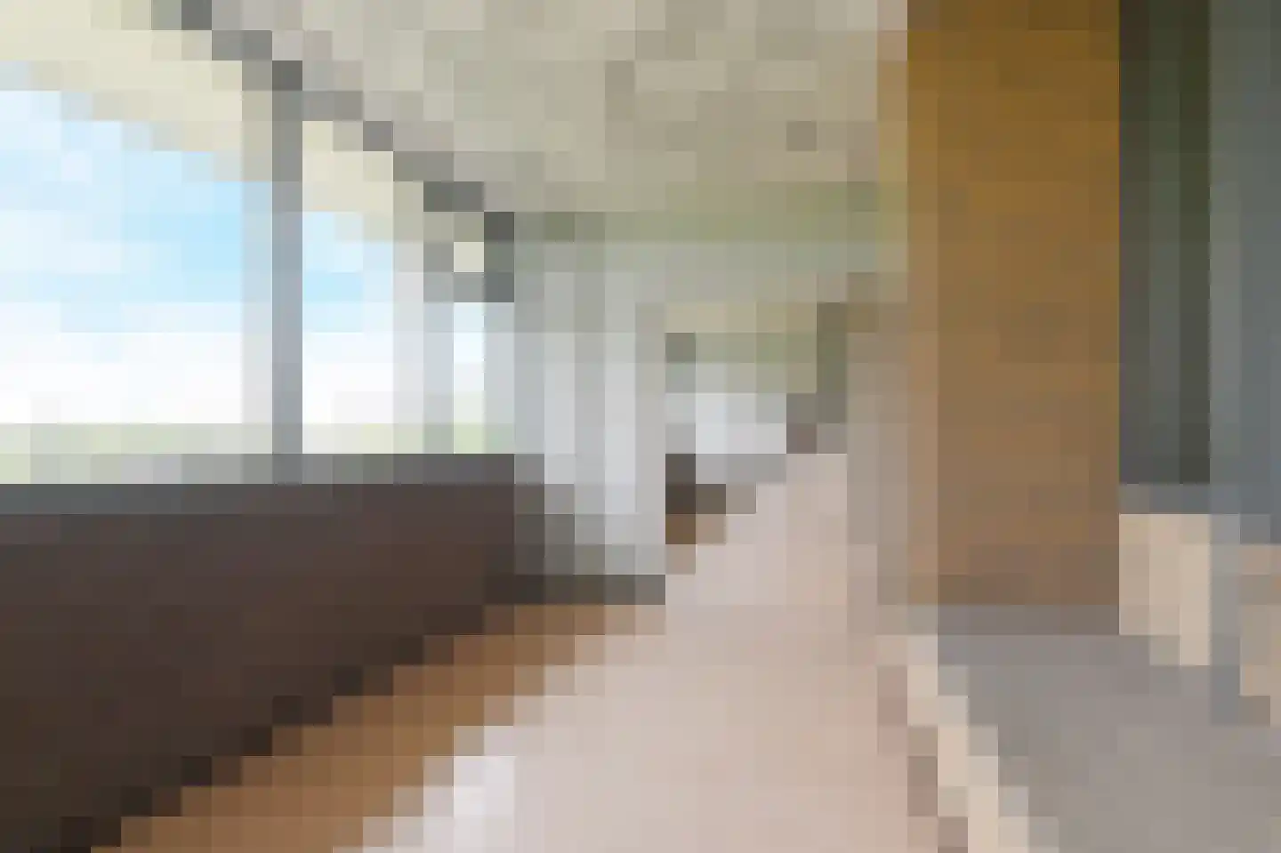 De Brink 1100 Den Haag thumbnail 9