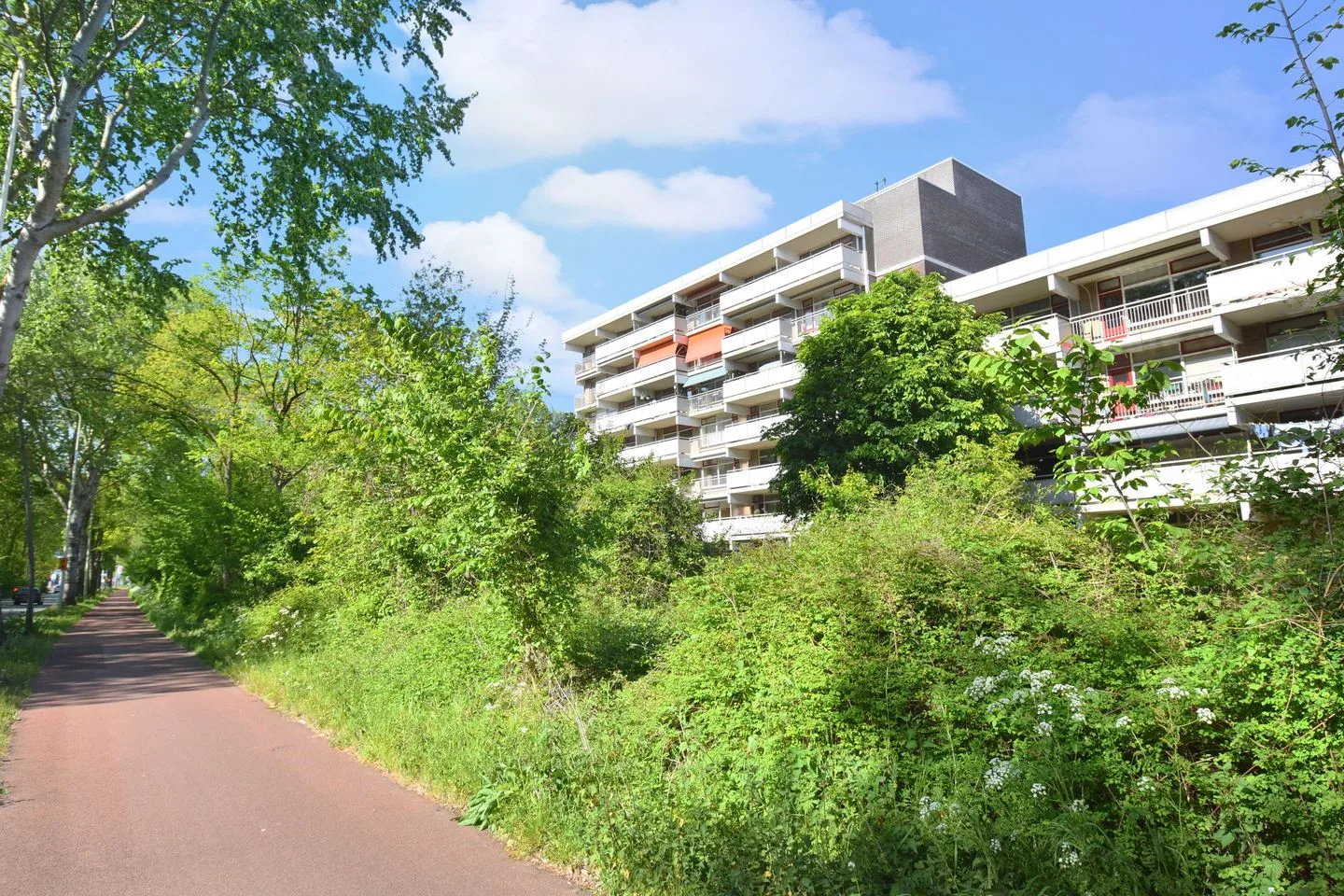 De Brink 1110 Den Haag