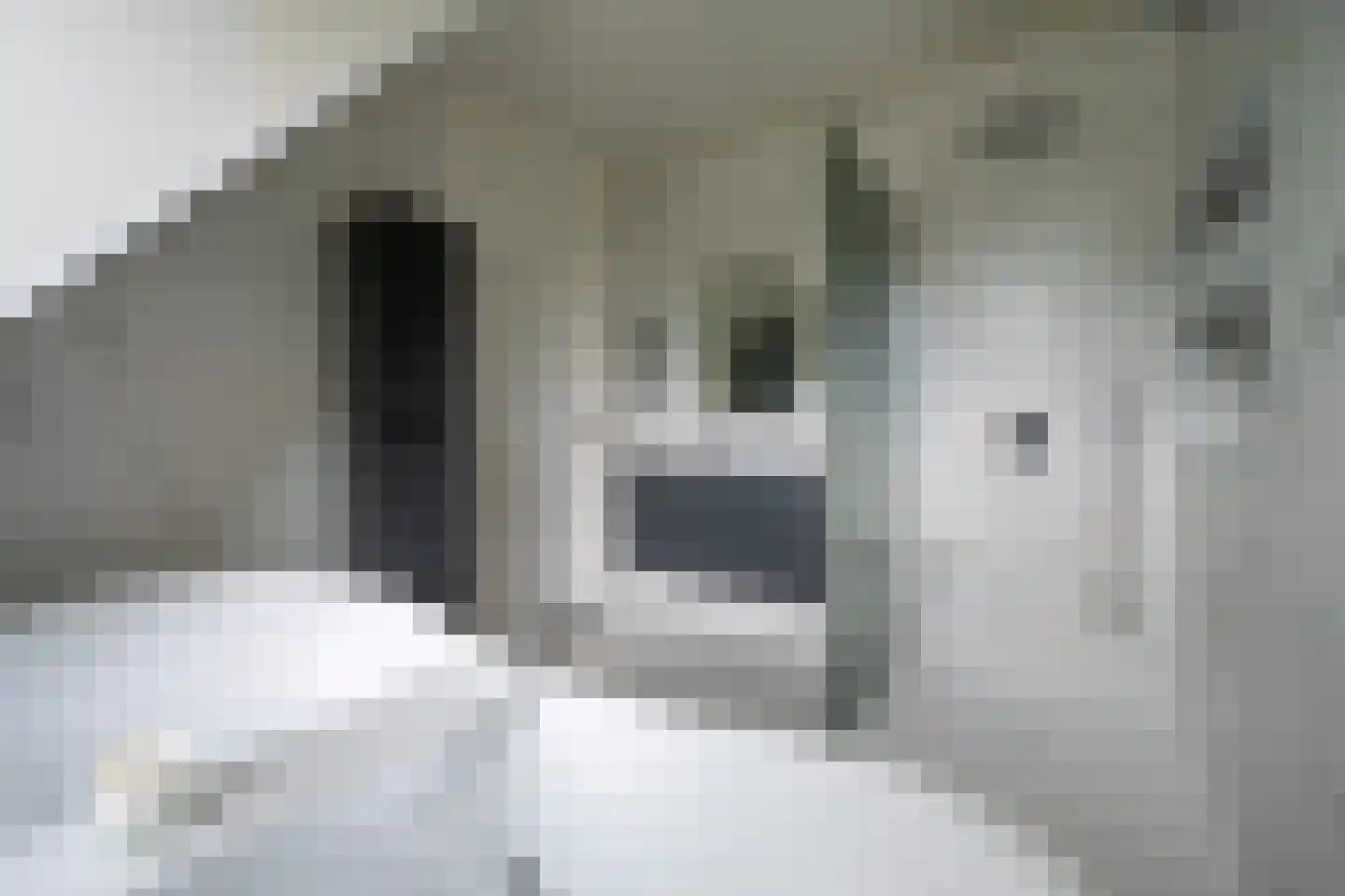De Brink 117 Zeist thumbnail 20