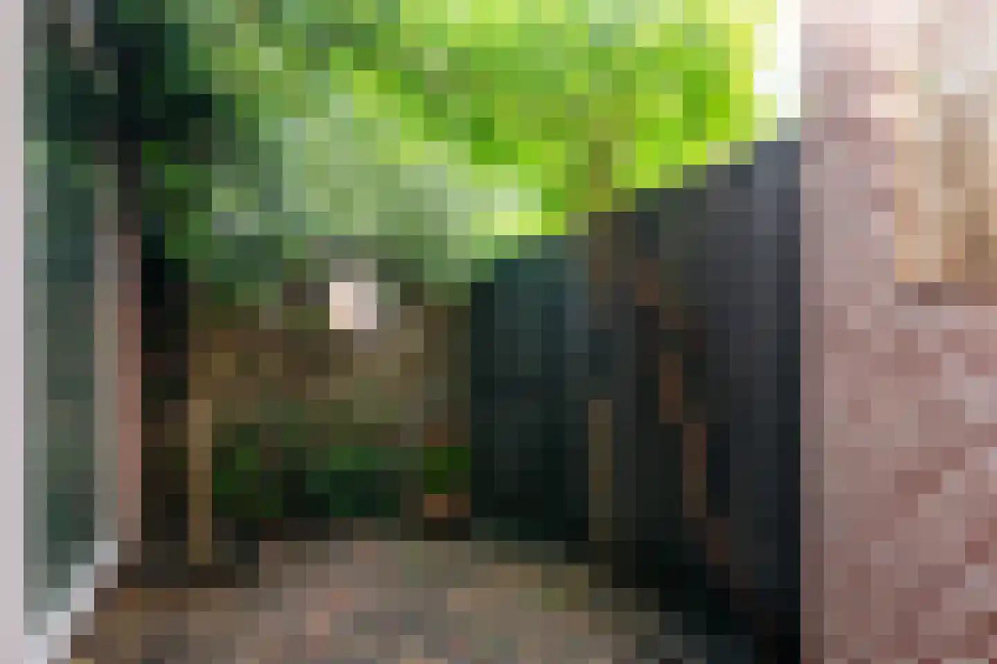 De Brink 117 Zeist thumbnail 28