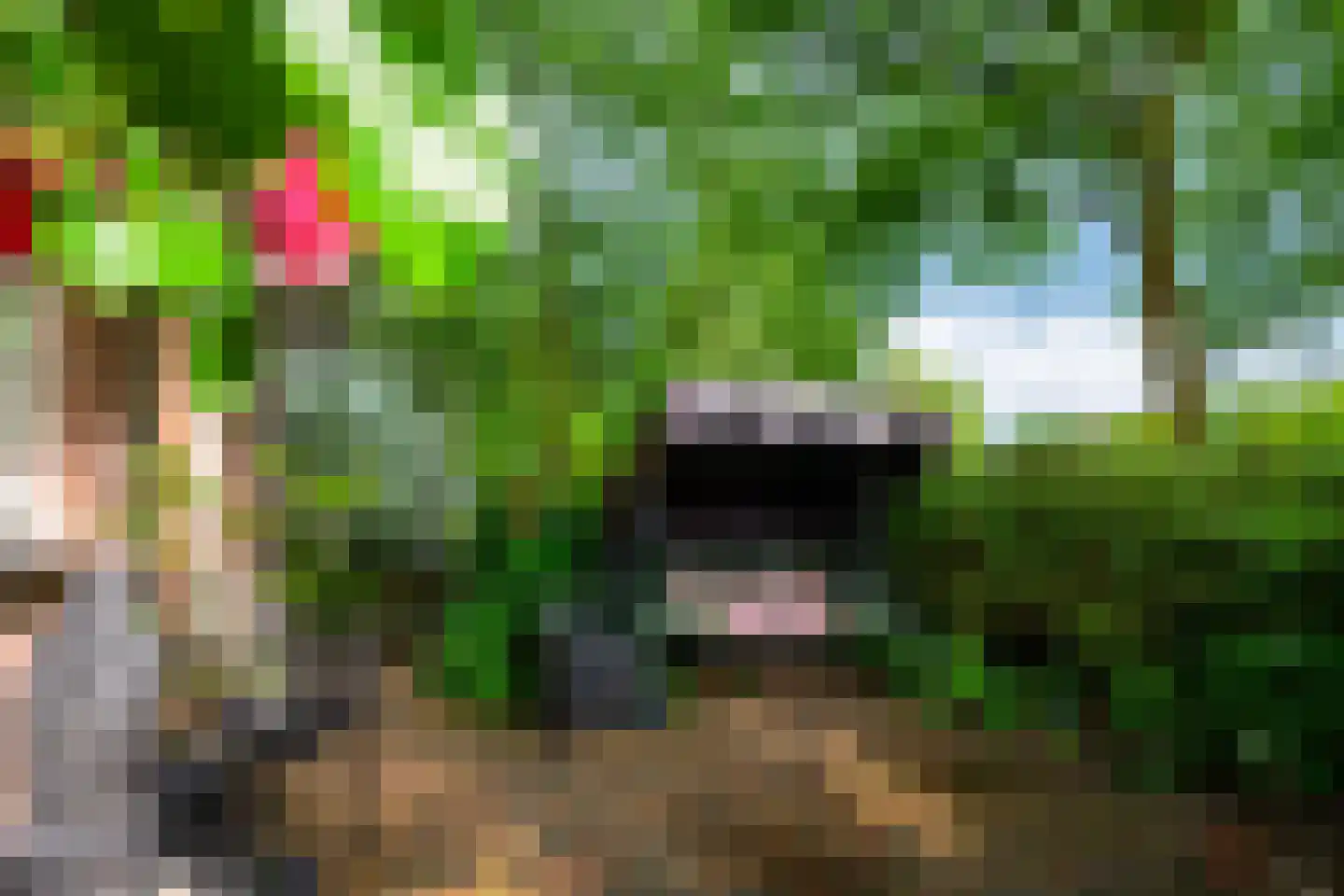 De Brink 117 Zeist thumbnail 31